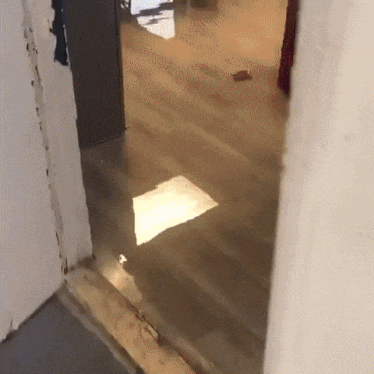 customized Restoration Services